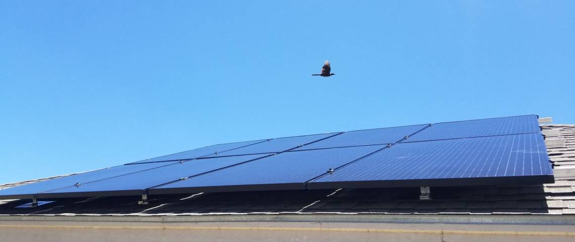 Asphalt Shingle Solar Panel Installation (8.7 kW) Roof Mount - 2