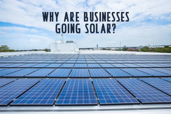 Commercial Solar Project Savings
